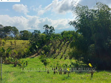 EN VENTA CASA CAMPESTRE CALARCÁ. 7.952 m²