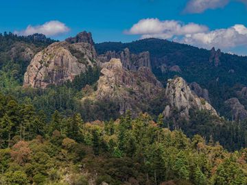 TERRENO EN MINERAL DEL CHICO CARBONERAS,   CON BOSQUE AL FRENTE