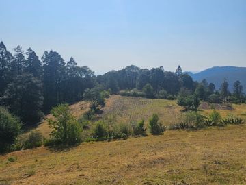 TERRENO EN MINERAL DEL CHICO CARBONERAS,   CON BOSQUE AL FRENTE