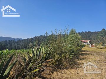 TERRENO EN MINERAL DEL CHICO CARBONERAS,   CON BOSQUE AL FRENTE