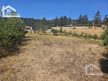 TERRENO EN MINERAL DEL CHICO CARBONERAS,   CON BOSQUE AL FRENTE