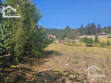 TERRENO EN MINERAL DEL CHICO CARBONERAS,   CON BOSQUE AL FRENTE