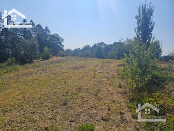 TERRENO EN MINERAL DEL CHICO CARBONERAS,   CON BOSQUE AL FRENTE