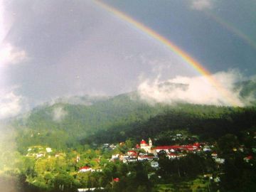 TERRENO EN MINERAL DEL CHICO CARBONERAS,   CON BOSQUE AL FRENTE