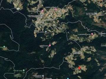 TERRENO EN MINERAL DEL CHICO CARBONERAS,   CON BOSQUE AL FRENTE