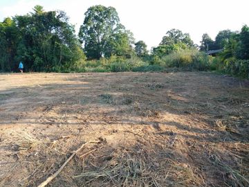 1 Rai Beautiful Land for Sale attached to irrigation canal