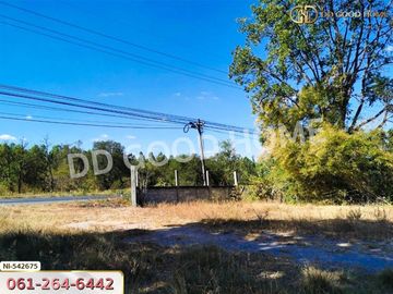 📢Land for sale Bua Yai District, 5 rai 206 sq w, Nakhon Ratchasima.