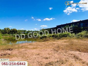 📢Land for sale Bua Yai District, 5 rai 206 sq w, Nakhon Ratchasima.
