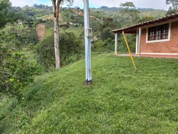 Te vendo esta preciosa finca planita, nada de lomas, baratísima y muy bien situada.