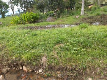 Te vendo esta preciosa finca planita, nada de lomas, baratísima y muy bien situada.