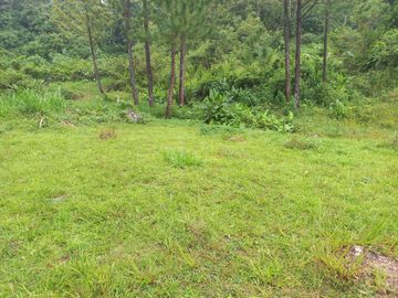 Te vendo esta preciosa finca planita, nada de lomas, baratísima y muy bien situada.