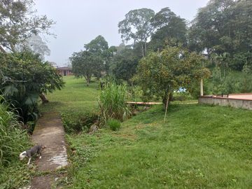 Te vendo esta preciosa finca planita, nada de lomas, baratísima y muy bien situada.