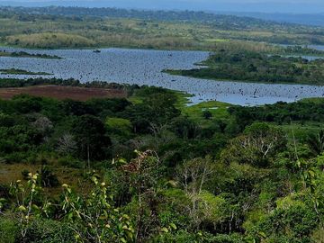 Finca18 Titulada $5,70M2. Financiada Sin Interes Frente al Lago Gatun..