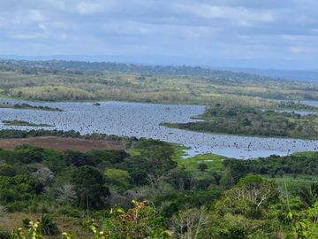 Finca18 Titulada $5,70M2. Financiada Sin Interes Frente al Lago Gatun..