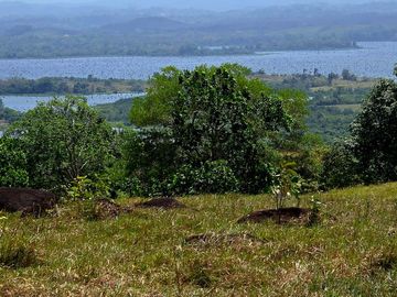 Finca18 Titulada $5,70M2. Financiada Sin Interes Frente al Lago Gatun..
