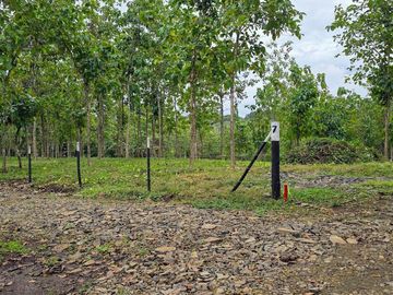 Finca18 Titulada $5,70M2. Financiada Sin Interes Frente al Lago Gatun..