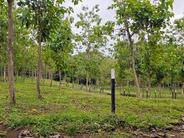 Finca18 Titulada $5,70M2. Financiada Sin Interes Frente al Lago Gatun..