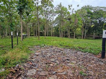 Finca18 Titulada $5,70M2. Financiada Sin Interes Frente al Lago Gatun..