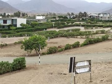 Ocasión Terreno En Venta Fundo Pradera Asia - Etapa Iv (gcucho,lima1)