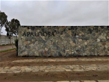 Ocasión Terreno En Venta Fundo Pradera Asia - Etapa Iv (gcucho,lima1)