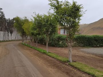 Ocasión Terreno En Venta Fundo Pradera Asia - Etapa Iv (gcucho,lima1)