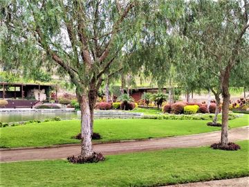 Ocasión Terreno En Venta Fundo Pradera Asia - Etapa Iv (gcucho,lima1)