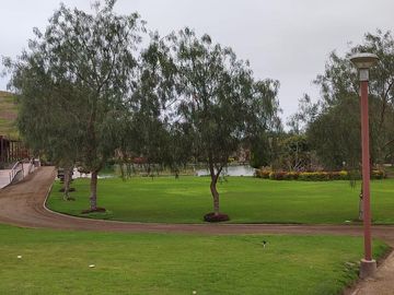 Ocasión Terreno En Venta Fundo Pradera Asia - Etapa Iv (gcucho,lima1)