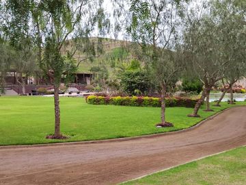 Ocasión Terreno En Venta Fundo Pradera Asia - Etapa Iv (gcucho,lima1)