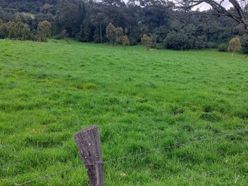 HACIENDA GANADERA PLANA CERCA DE SANGOLQUI