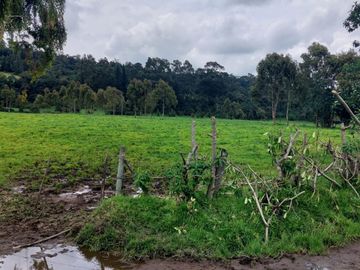 HACIENDA GANADERA PLANA CERCA DE SANGOLQUI