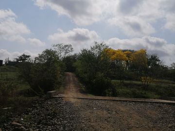 VENDO FINCA EN CANTON PEDRO CARBO 12 HECTAREAS
