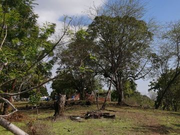 VENDO FINCA EN CANTON PEDRO CARBO 12 HECTAREAS