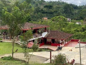 FINCA CAFETERA EN ANDES ANTIOQUIA