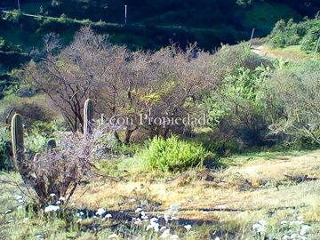 Leon Propiedades vende parcela en condominio los Bosques de Miraflores, Curacavi