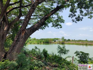 Land for sale, 13 rai, super highway. Chiang Mai - Lamphun (Highway No. 11) width 74 meters, depth 315 meters, price 135 million.