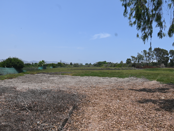 VENDO TERRENO 2.1351 Ha PARA CASA DE CAMPO, MALA, CAÑETE, PERÚ
