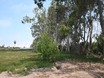 VENDO TERRENO 2.1351 Ha PARA CASA DE CAMPO, MALA, CAÑETE, PERÚ