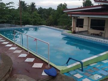 For sale 2 house and lot with swimming pool in Barili, Cebu!