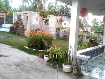 For sale 2 house and lot with swimming pool in Barili, Cebu!