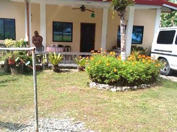 For sale 2 house and lot with swimming pool in Barili, Cebu!