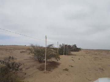 TERRENO PARA DESARROLLO URBANO