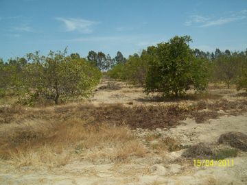 TERRENO PARA DESARROLLO URBANO