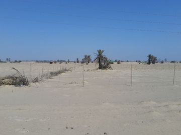 TERRENO PARA DESARROLLO URBANO