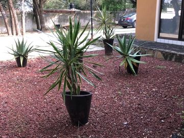 HERMOSA QUINTA EN VENTA