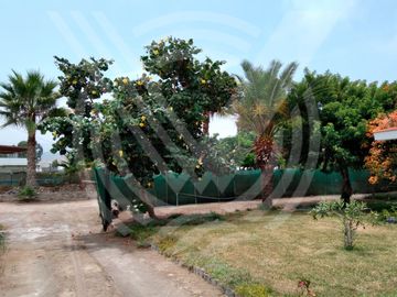 SE VENDE COMO TERRENO PARA  PROYECTO O CONDOMINIO DE  2,584 m². ¡CAMPO Y PLAYA !...
