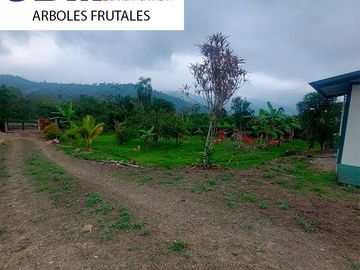 Villa Vacacional de Venta en Las Palmas en la Via Quera a Cuenca.