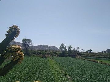 Vendo Local Comercial Arequipa-Arancota- Sachaca