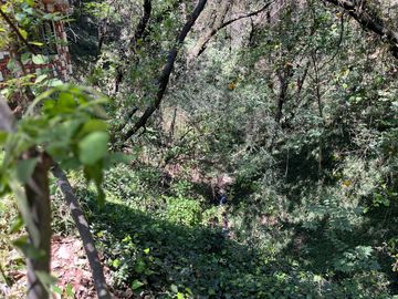 BOSQUE DE LA HERRADURA - CASA CON 6 DEPTOS - COMO TERRENO