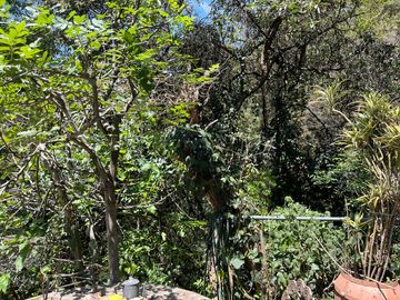 BOSQUE DE LA HERRADURA - CASA CON 6 DEPTOS - COMO TERRENO
