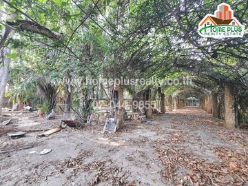 ที่ดินพร้อมสิ่งปลูกสร้าง อำเภอสันทราย เชียงใหม่